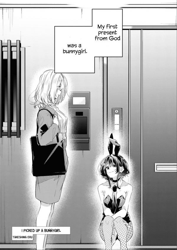 I Picked Up a Bunny Girl